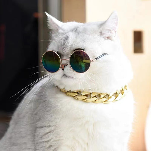Dame moterunde briller Luvikno