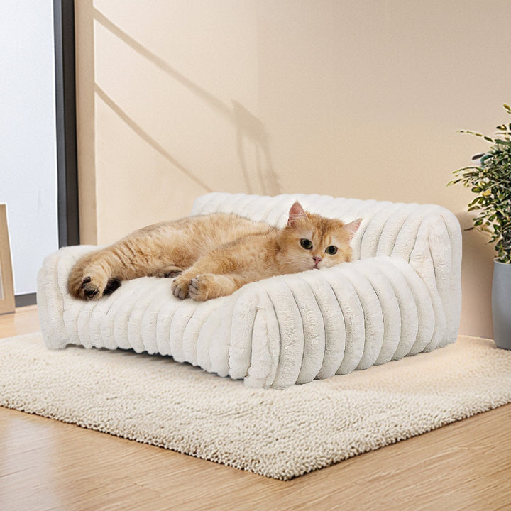 Katt bed Luvikno