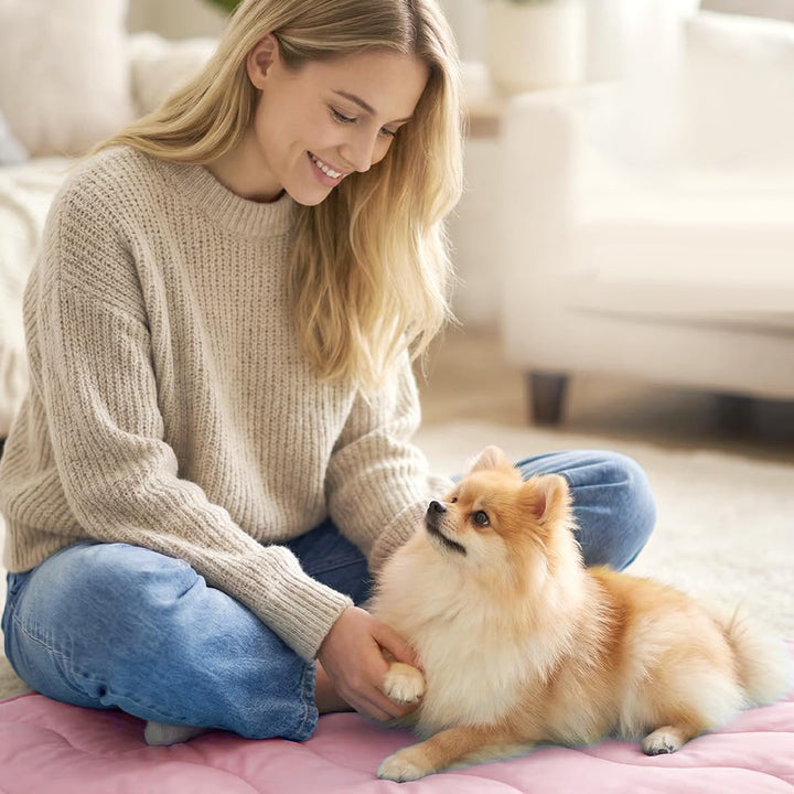 Dame ortopedisk hundeseng Luvikno