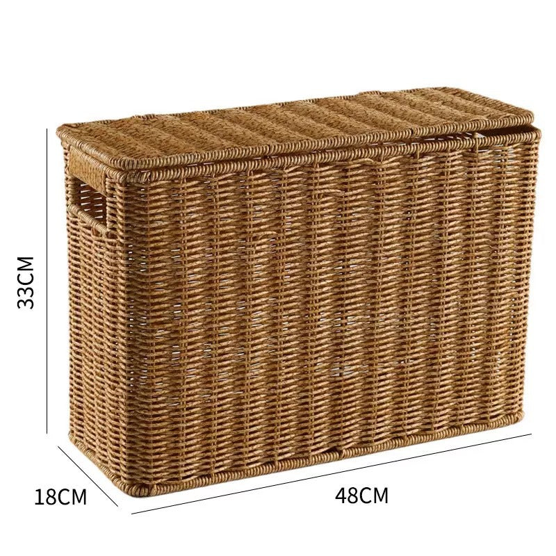 Unisex dekorativ Rattan oppbevaringsboks Luvikno