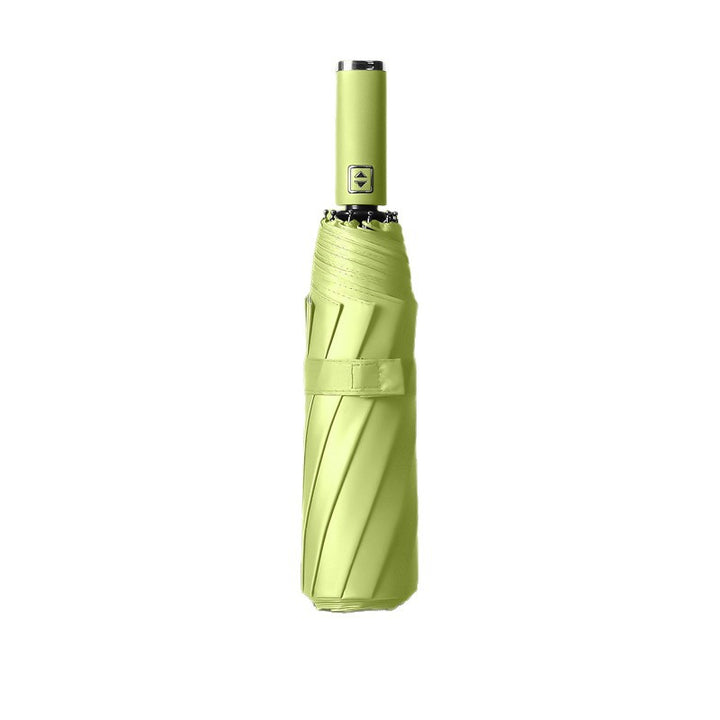 Kvinners Paraply Luvikno