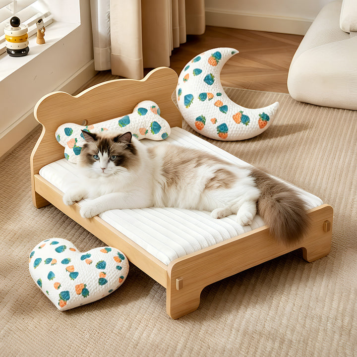 Katt bed Luvikno