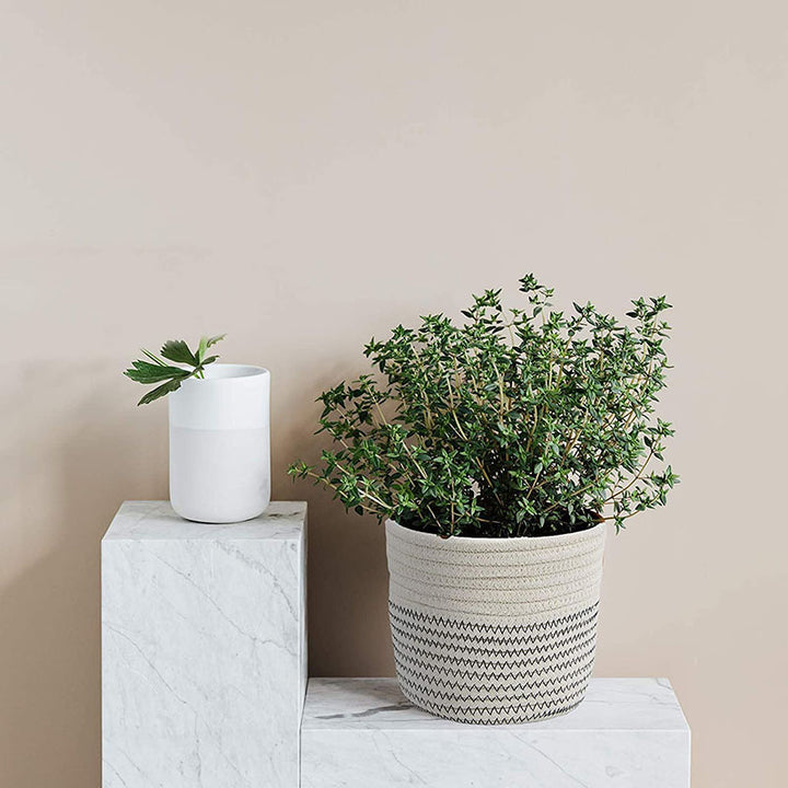 Dame Stylish Organizer-kurvsett Luvikno