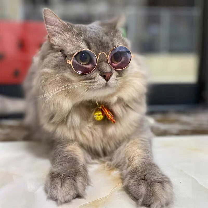 Dame moterunde briller Luvikno