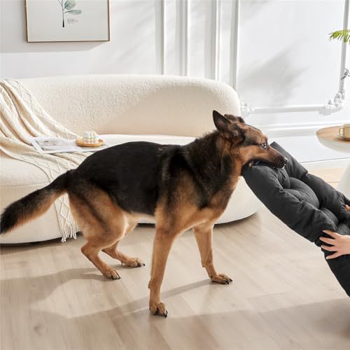 Hunde seng Luvikno
