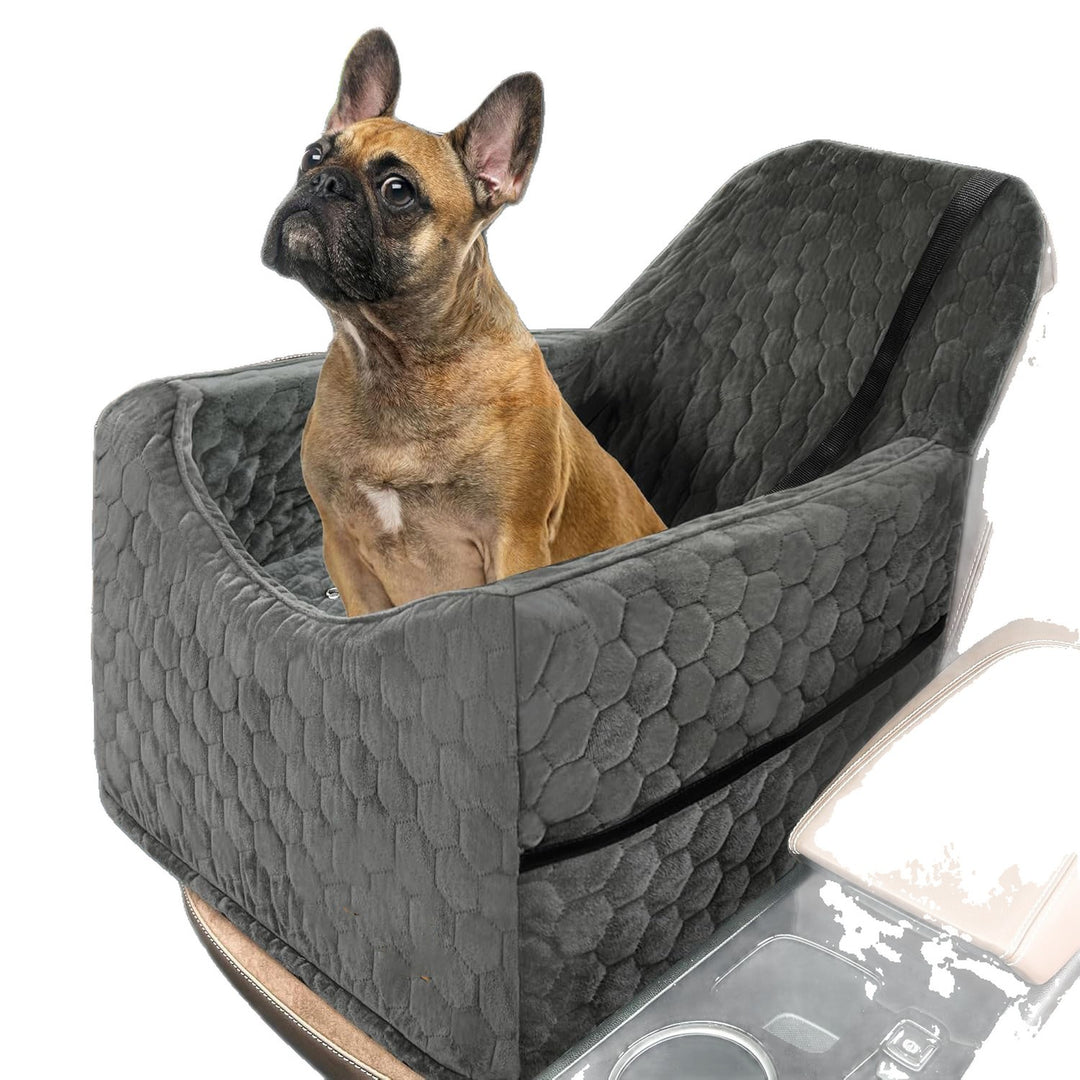 Damer Hund Seter Luvikno