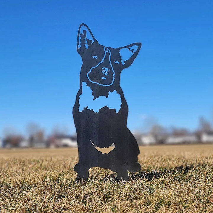 Cairn Terrier | Luvikno