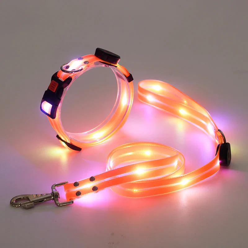 LED Hundehalsbånd med Bånd – NightBright Luvikno