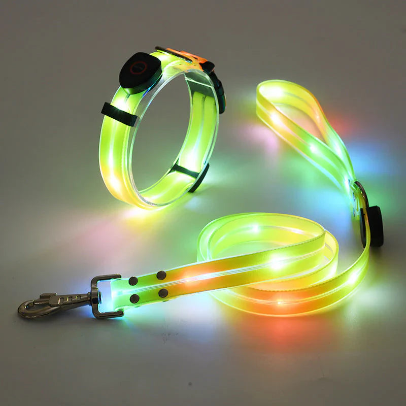 LED Hundehalsbånd med Bånd – NightBright Luvikno