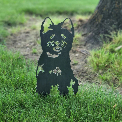 Cairn Terrier | Luvikno