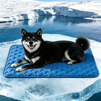 Unisex nan kjølende quiltet hundematte med sklisikker underside Luvikno