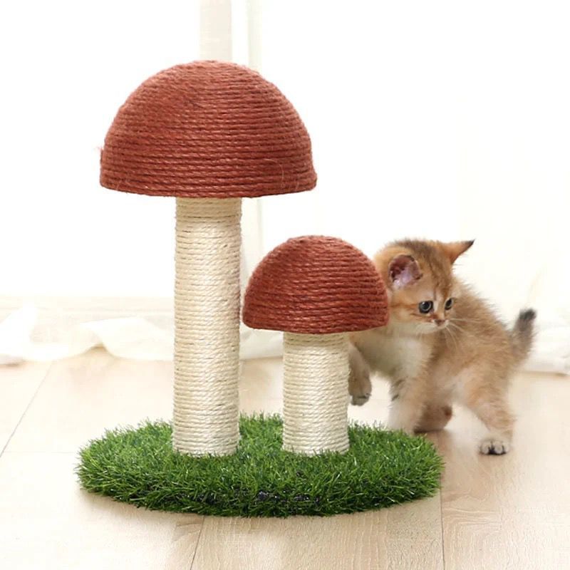 Sisal Katt Soppskrapepost Luvikno