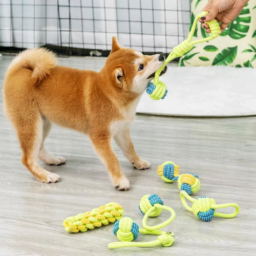 PlayPaw Tau Ball Luvikno