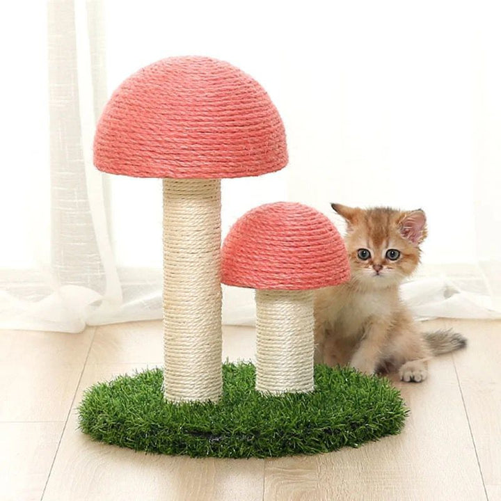 Sisal Katt Soppskrapepost Luvikno