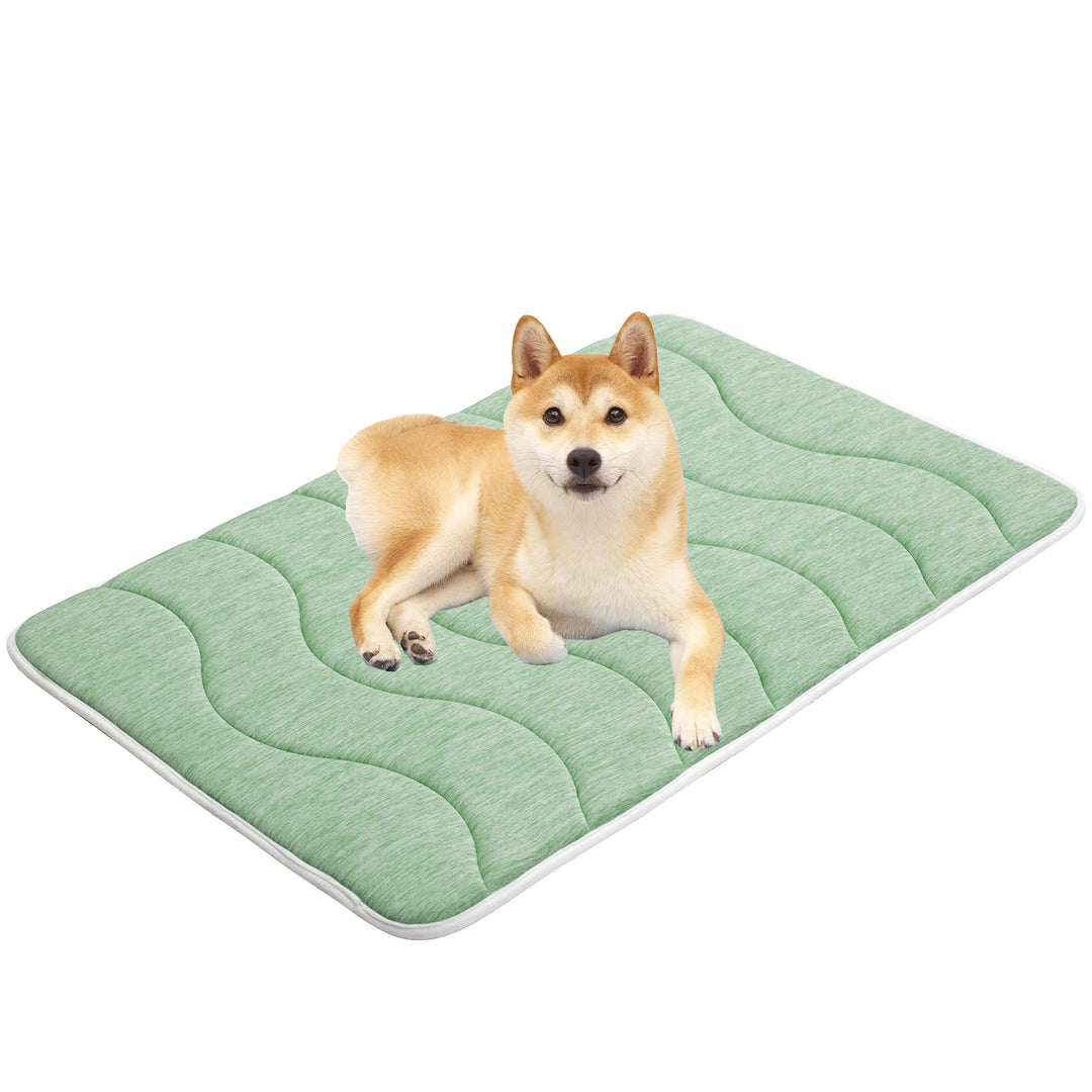 Dame ortopedisk hundeseng Luvikno