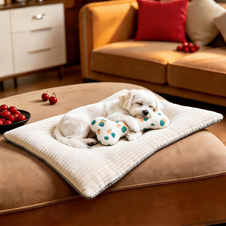 Katt bed Luvikno