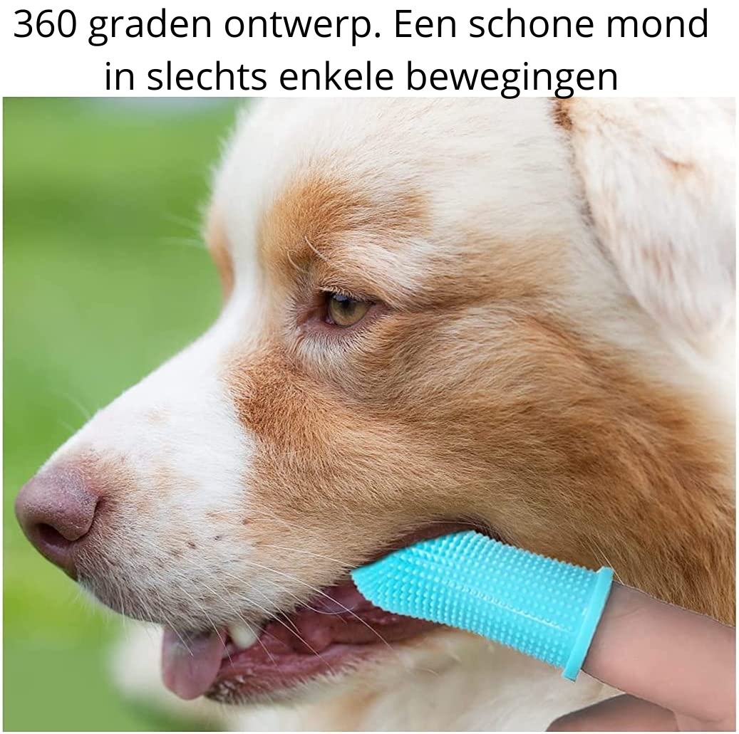 Sikker hunde tannpleie for hjemmet Luvikno