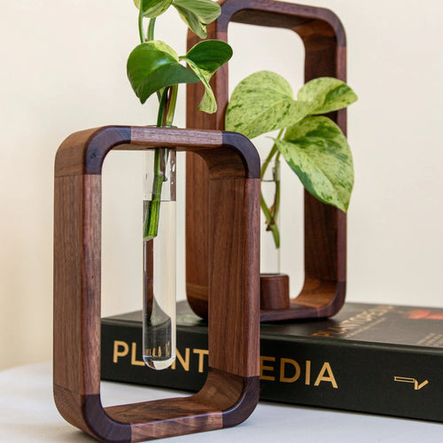 Hollow Plant Propagator Luvikno