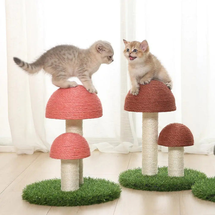 Sisal Katt Soppskrapepost Luvikno