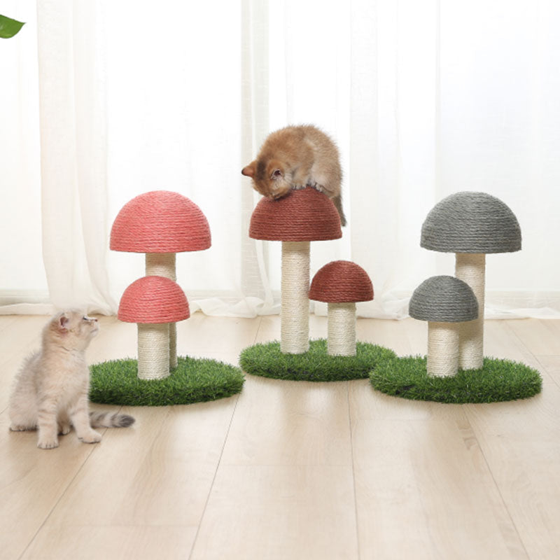 Sisal Katt Soppskrapepost Luvikno
