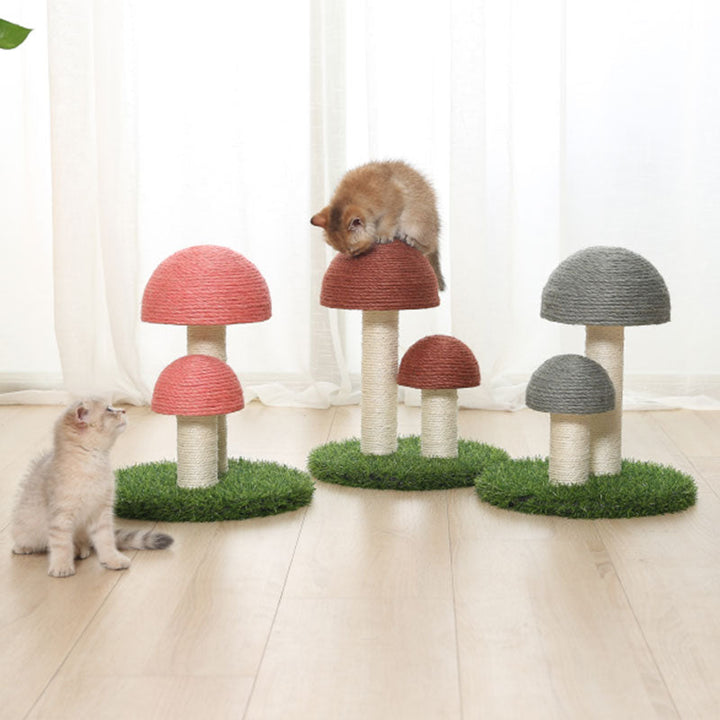 Sisal Katt Soppskrapepost Luvikno