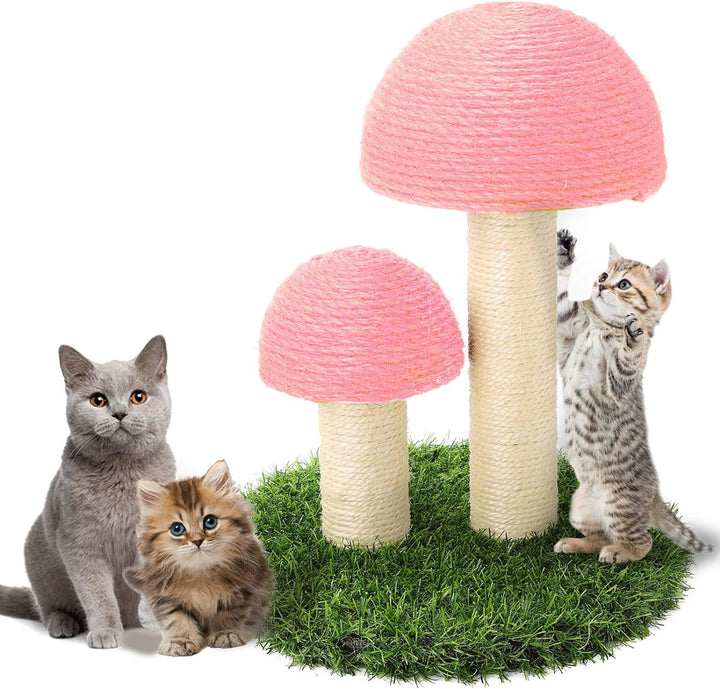 Sisal Katt Soppskrapepost Luvikno