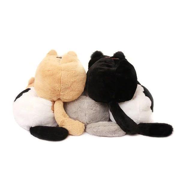 Plush Katt Veveboksdeksler | Luvikno
