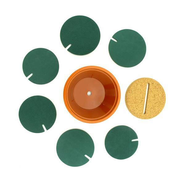 Potted Cactus Coasters | Luvikno