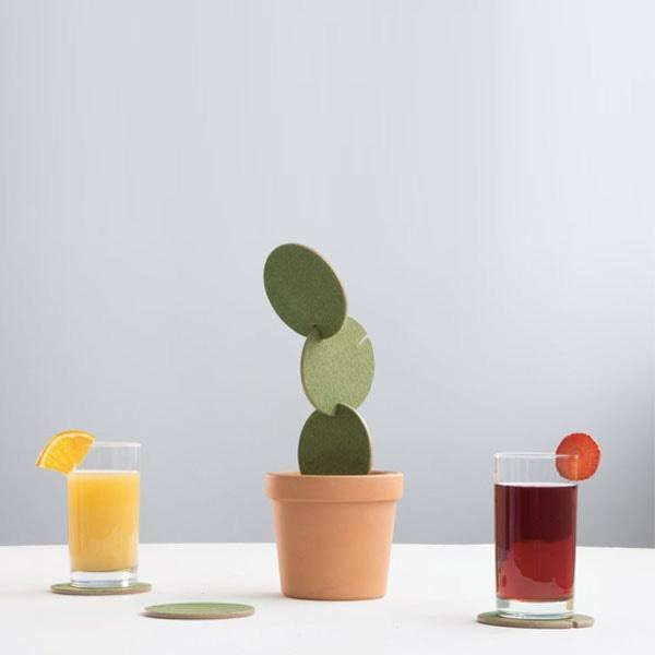 Potted Kaktus Coastere | Luvikno