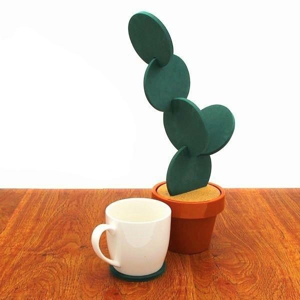 Potted Kaktus Coastere | Luvikno