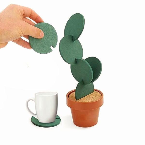 Potted Kaktus Coastere | Luvikno