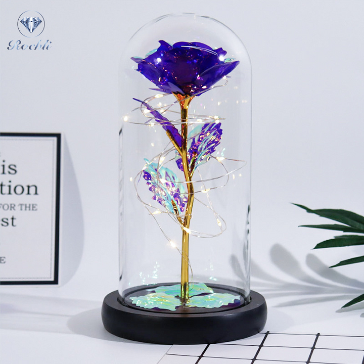 Rose i Glass Dome Display | Luvikno