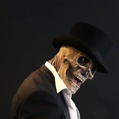 Luvikno | FancySkull costume | Skrem alle ut av sansene!