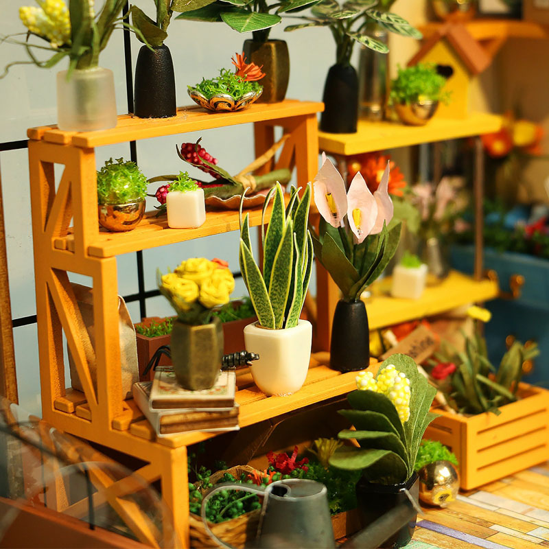 Cathys Flower House Luvikno