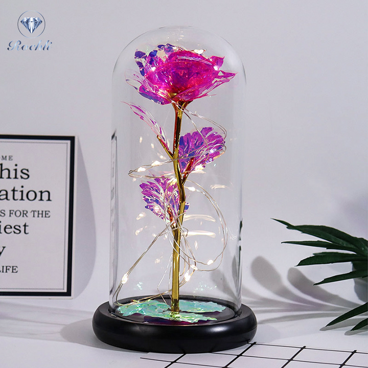 Rose i Glass Dome Display | Luvikno