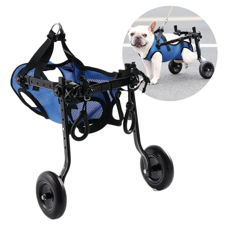 Luvikno | Vetalino Hundekjøretøy for Små Hunder | Justerbart Rehabiliteringsvogn | Lettvekts & Stabil | Mobilitetsassistent for Gåproblemer