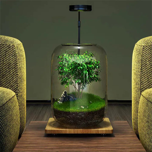 Micro Landscape Green Oasis Glass Vase | Luvikno