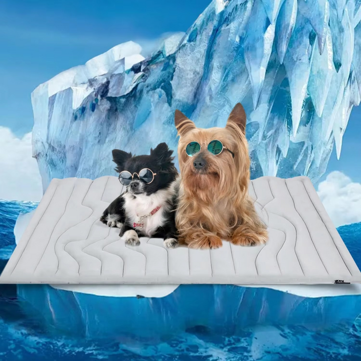 Ultimate Cooling Pet Mat for Cats & Dogs - Comfortable & Durable Sleeping Pad Luvikno