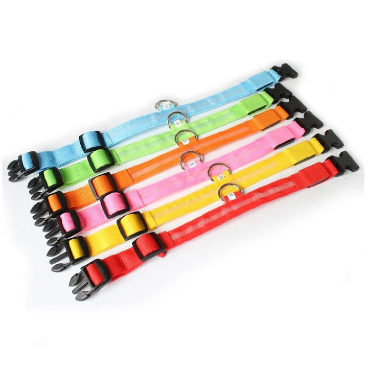 GlowCollar LED – BrightPaws Luvikno