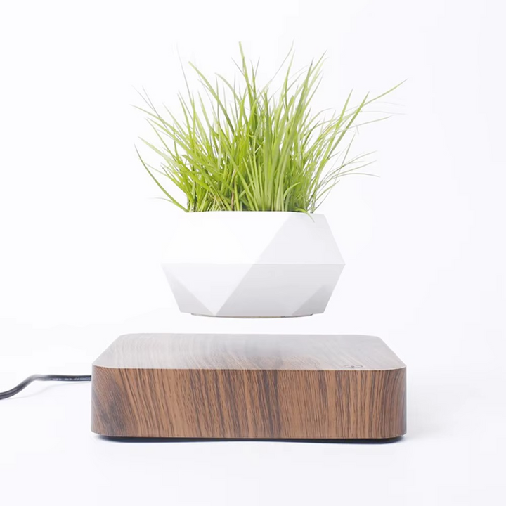 Magnetisk svevende Bonsai Plantekrukke, Flytende Blomsterkrukke for Hjem og Kontor Dekor Luvikno