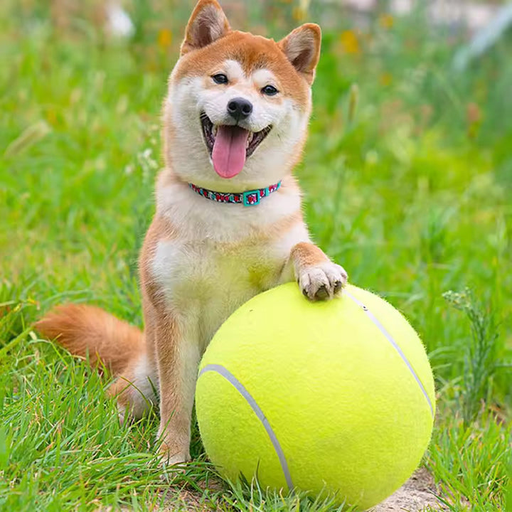 Ekstra stor tennisball for hunder Luvikno