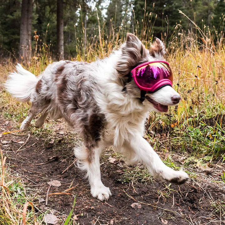 Hundesolbriller med UV-beskyttelse vindavvisende justerbar Luvikno