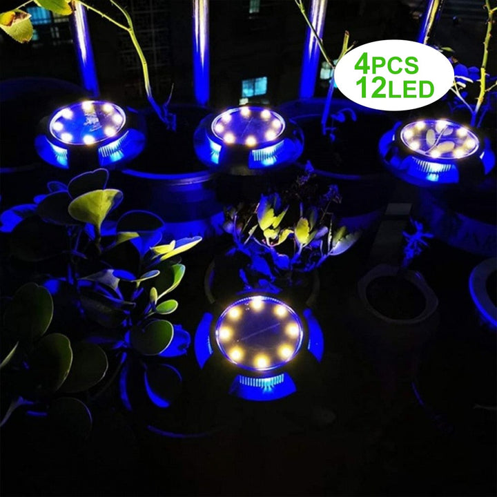 Eco Solar Colorful Garden Light | Luvikno
