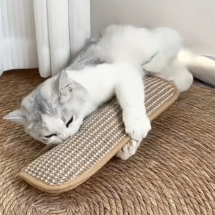 Klorepute for katter med kattmynt holdbar og robust Luvikno