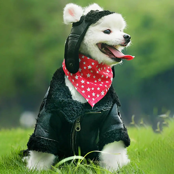 Vinter pilotlue for kjæledyr varm og komfortabel Luvikno