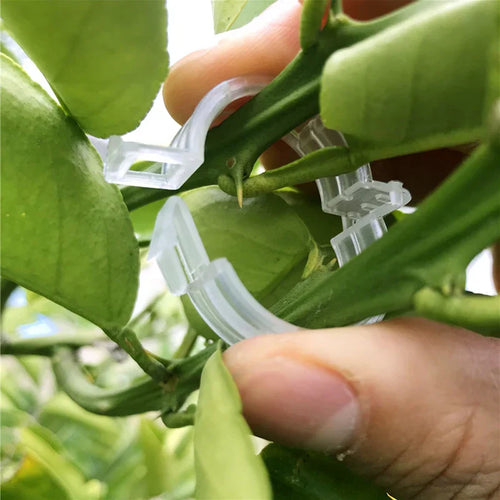 Plastklemmer for plante støtte | Grafting og fikseringsverktøy! | Luvikno