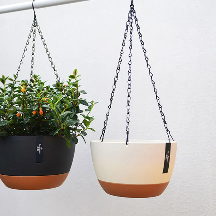 Luvikno | Floranta Hengeplantesett | Robust & Stilig | For Balkong, Hage & Innendørs