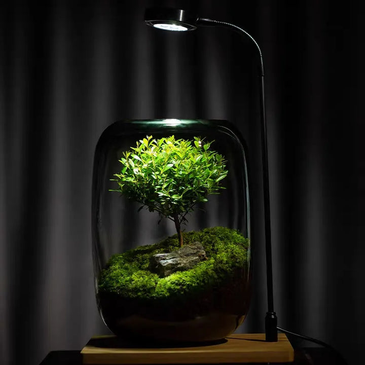 Micro Landscape Green Oasis Glass Vase | Luvikno