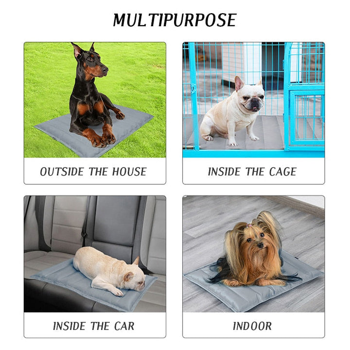 Summer Zone Pet Cooling Mat | Luvikno