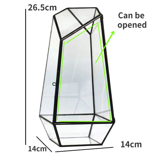Moderne Geometriske Natur-Inspirerte Botaniske Terrarium | Luvikno